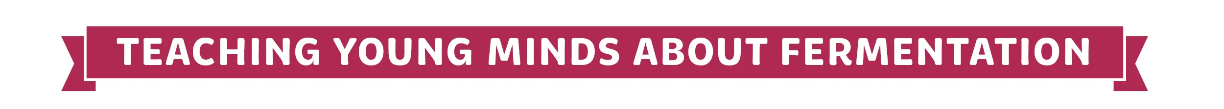 Headline – Teaching.jpg