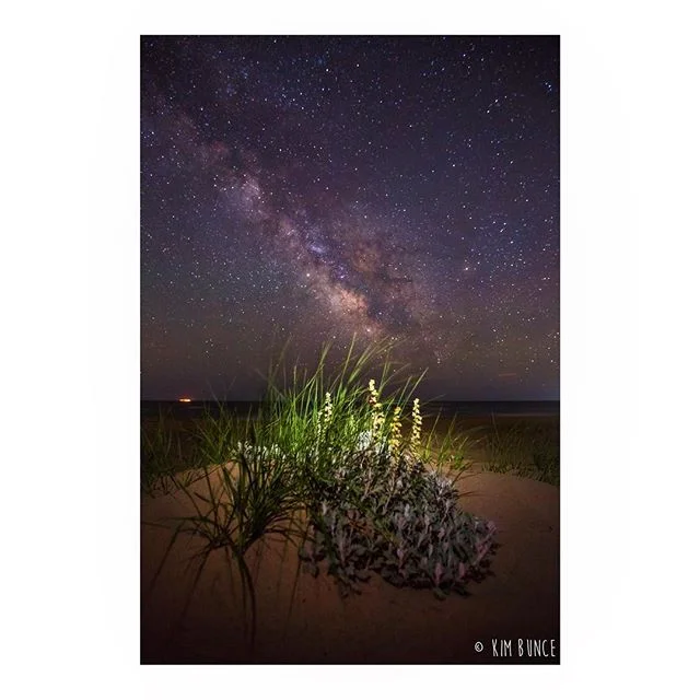 Hither Hills - 06.11.18
.
.
.
.
.
#milkyway #hitherhills #hitherhillsstatepark #montauk #astrophotography #nightphotography #longexposure #canon #5dmkiii #quietandstill #lookup #campmore #travel #travelgram