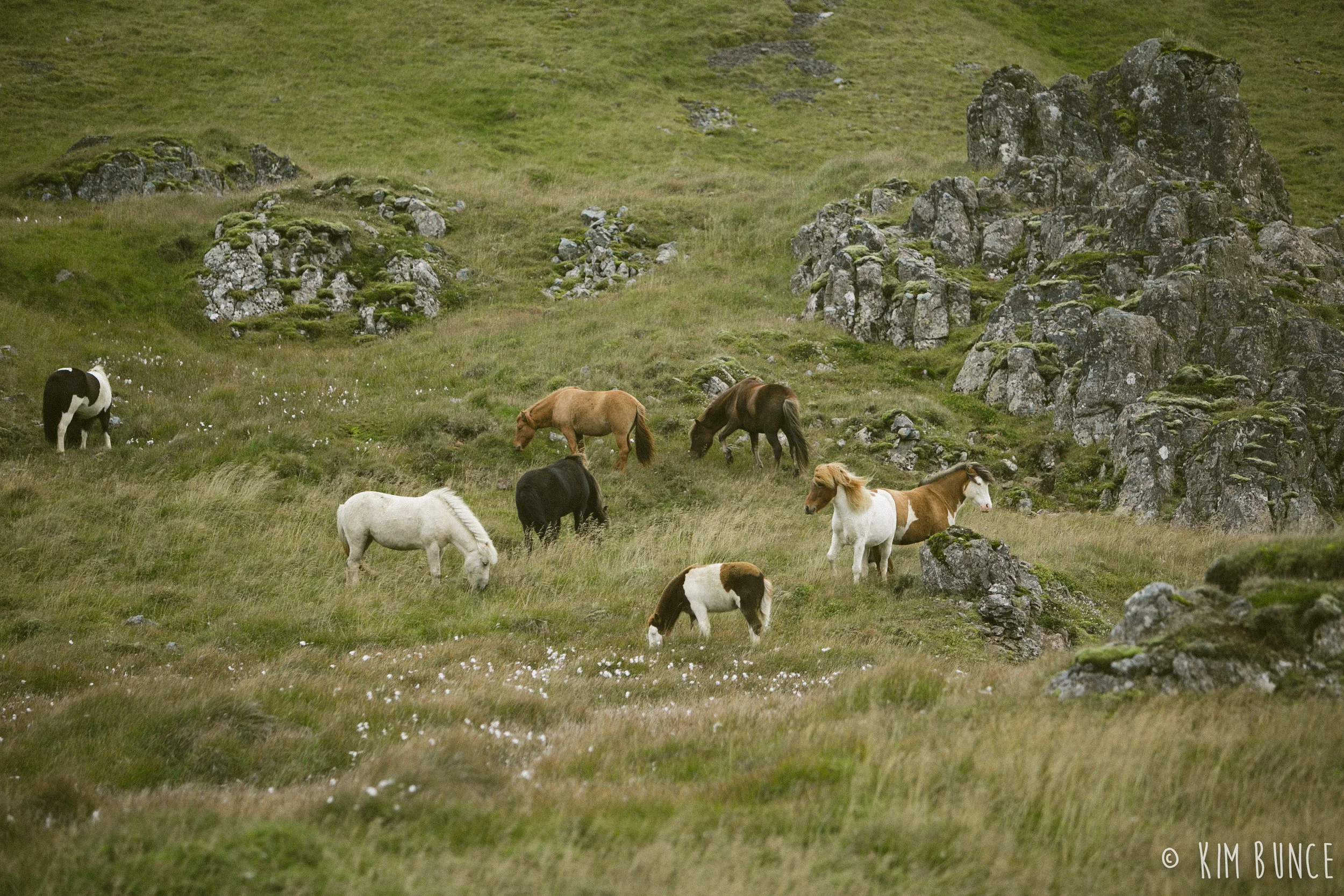 Iceland - 2018