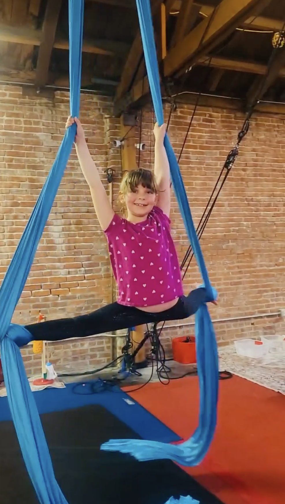 AstridAerial.png