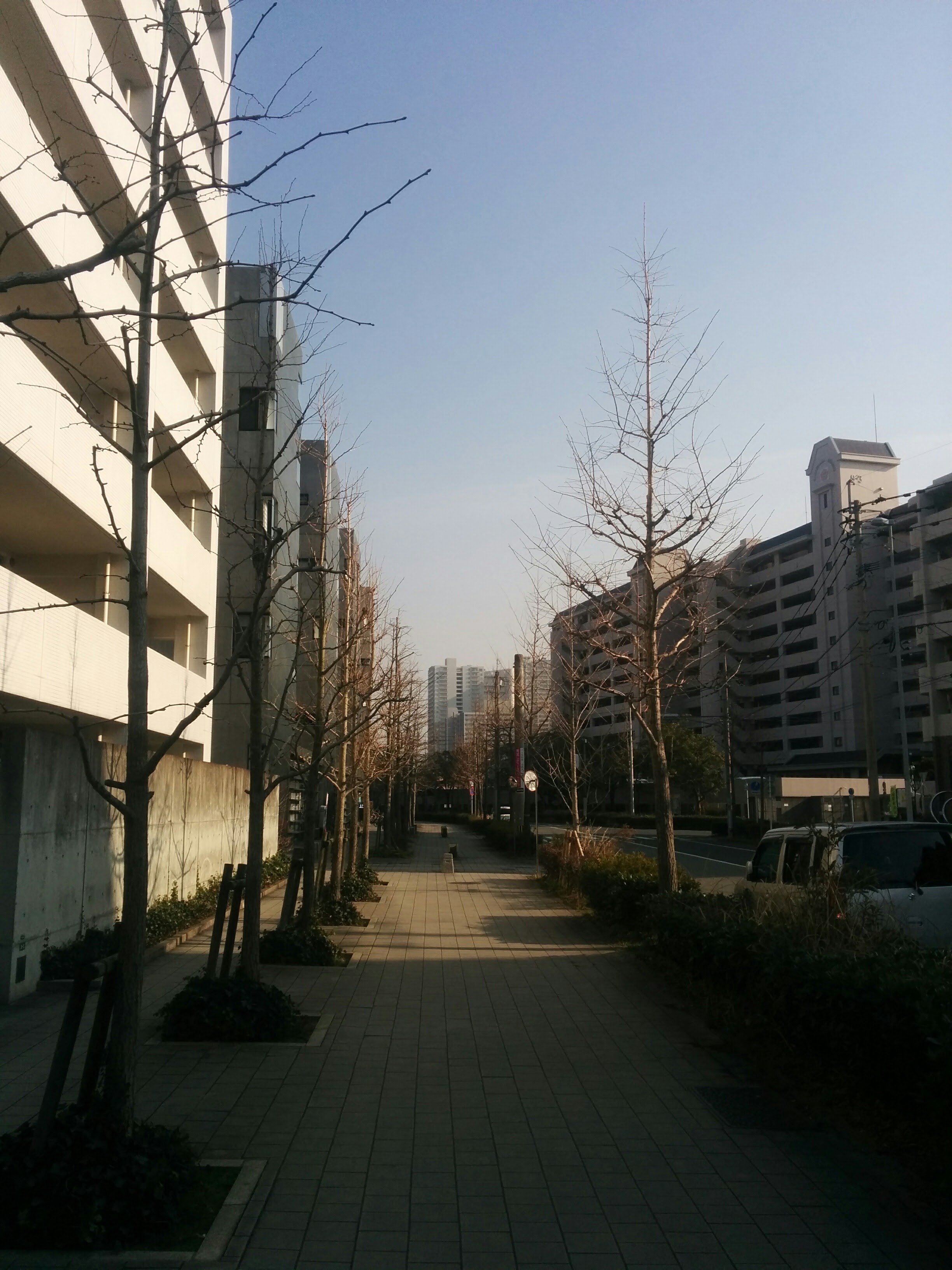 IMG_20160204_151316.jpg