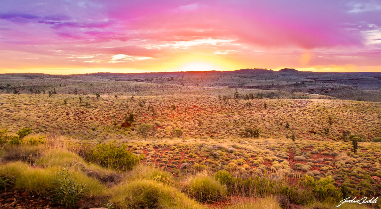 Australia's ScreenWest Chooses Reel-Scout