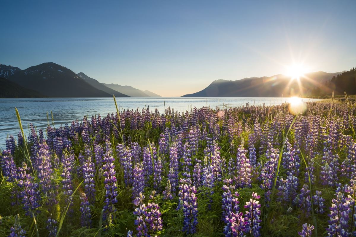 Reel-Scout to Build SEI for Anchorage Film Office
