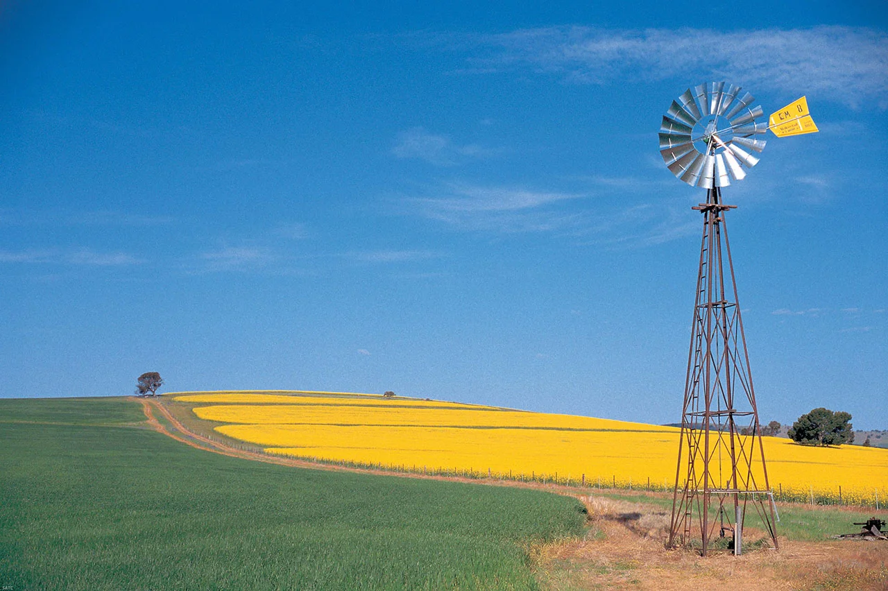 Australia's South Australian Film Corporation Chooses Reel-Scout
