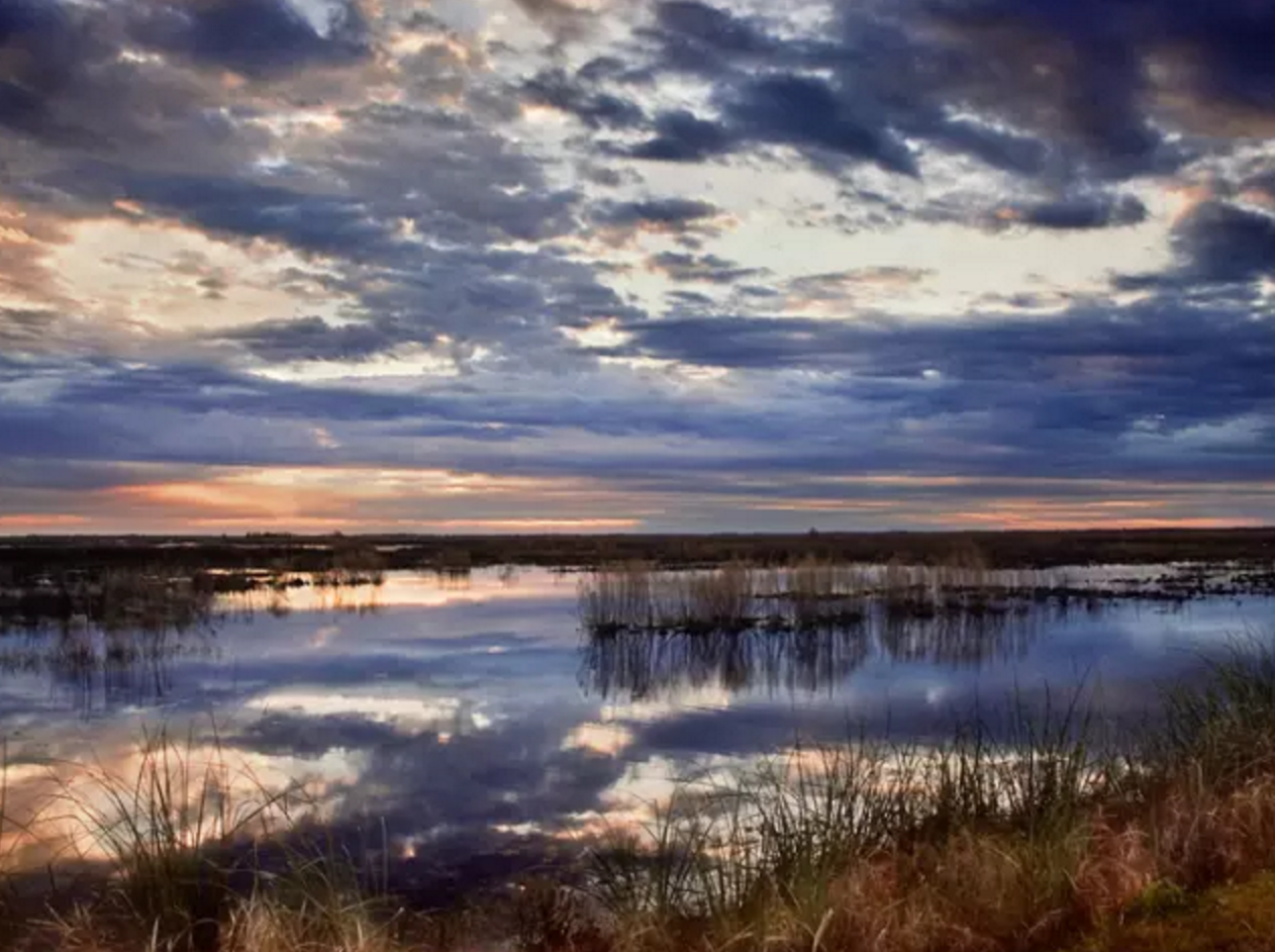Southwest Louisiana Film Commission Upgrades Online Film Directory with Reel-Scout