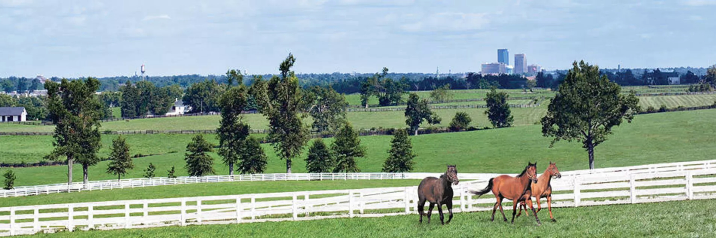 Reel-Scout to Build SEI for Lexington CVB