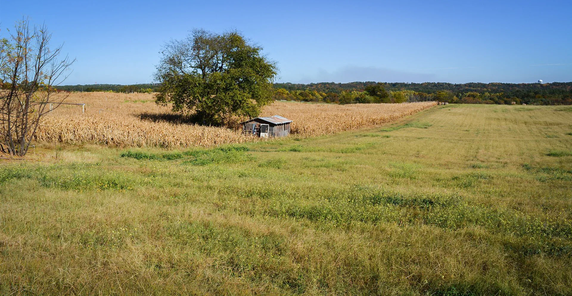 Reel-Scout to Build SEI for Film Columbia County