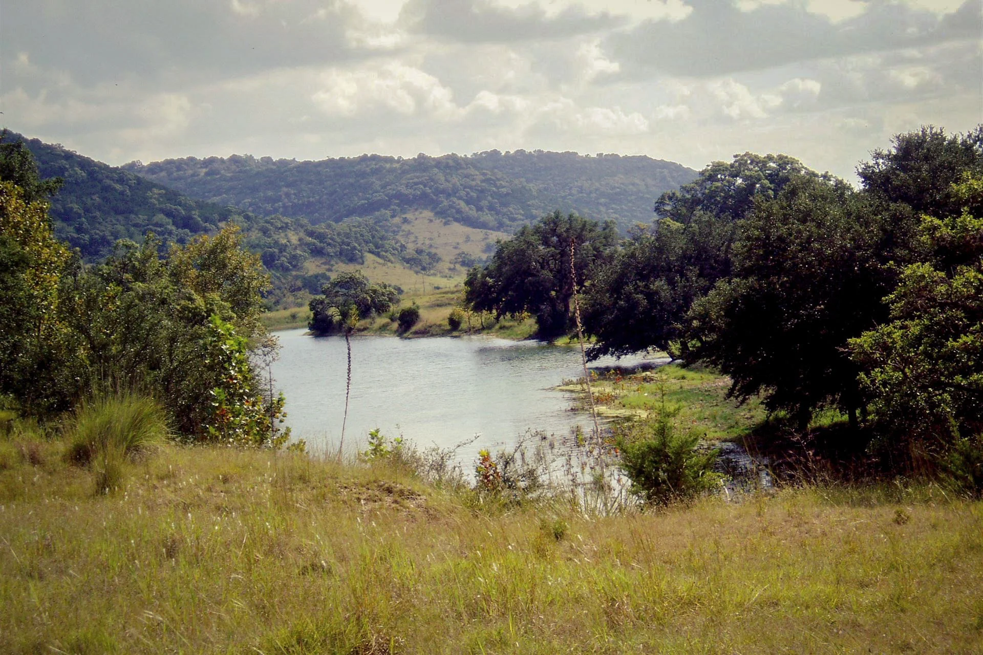Reel-Scout to Build Reel-Music for San Antonio Film Commission