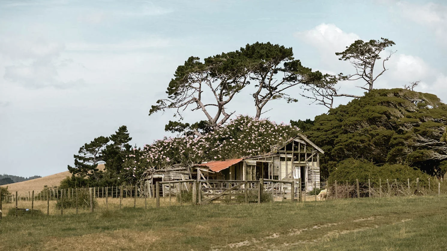 Screen Auckland Chooses Reel-Scout