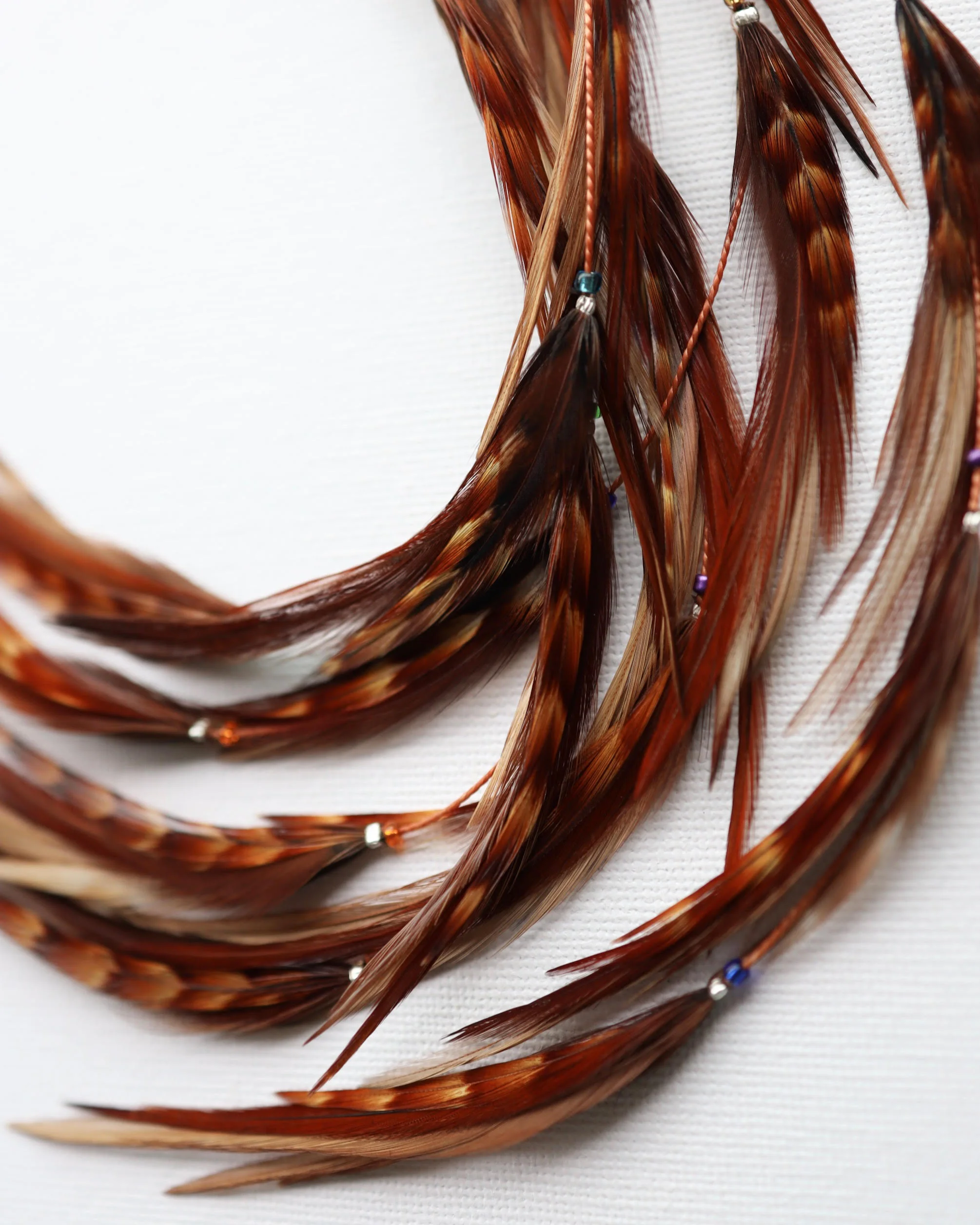 tigers eye feather hair extensions macro.jpg