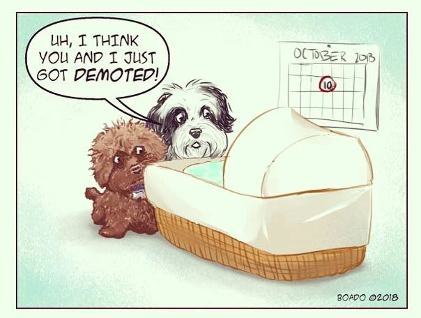 "Baby Announcement" - Artwork by the talented David Boado