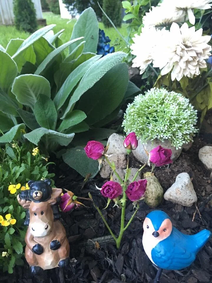 Daddy with his cub and Mommy songbird.