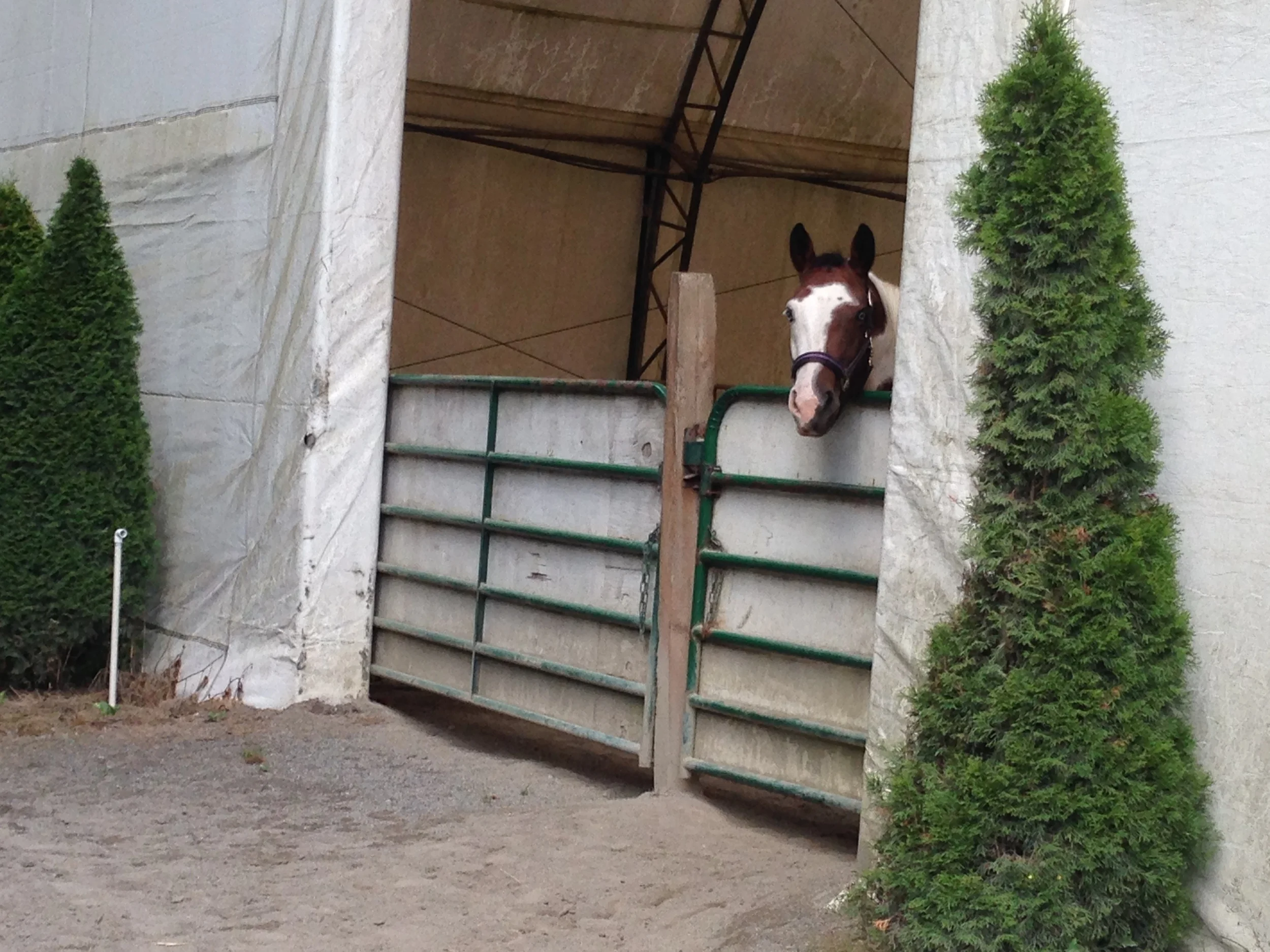 horse adventues 2014 071.JPG