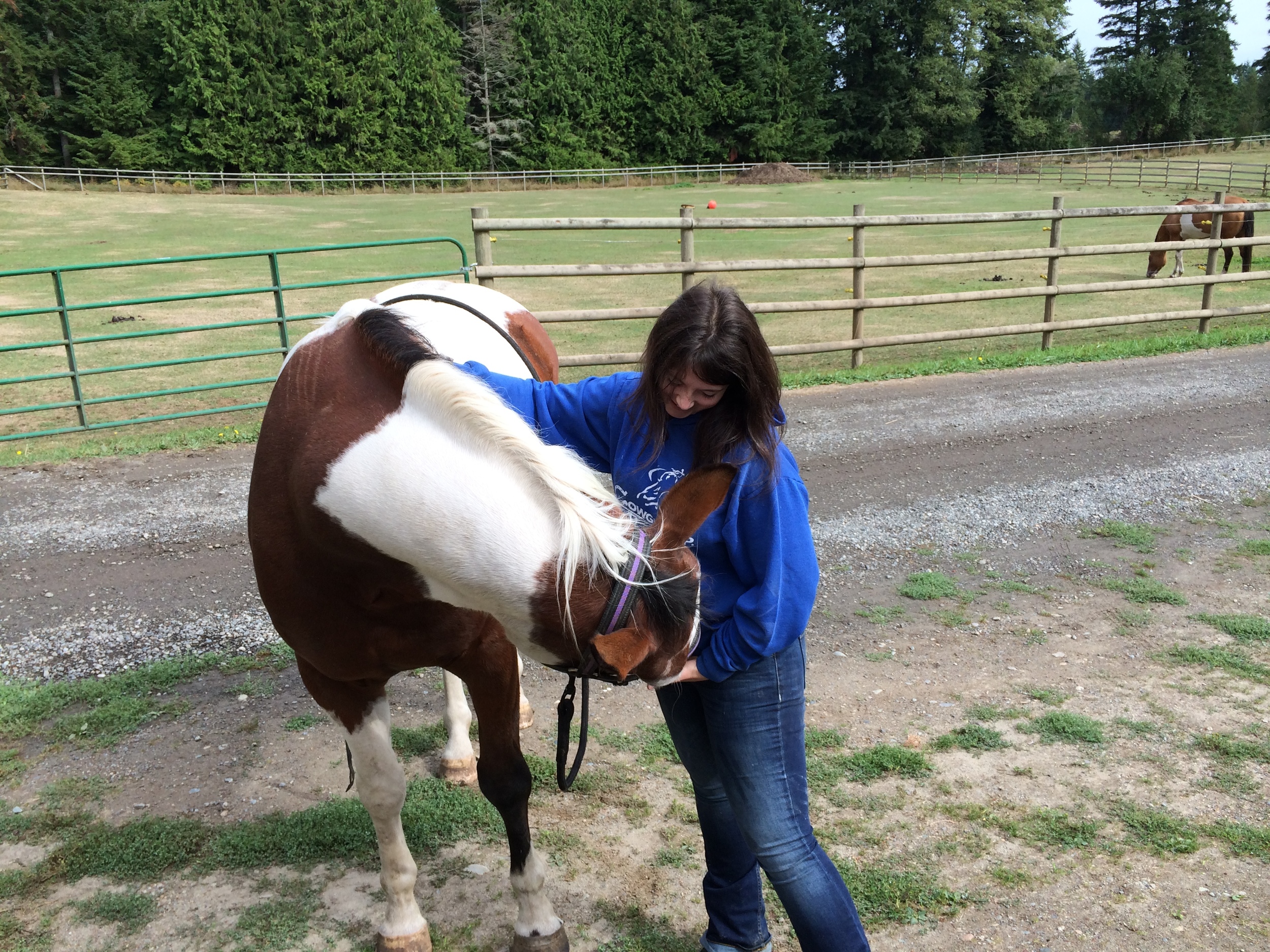horse adventues 2014 009.JPG