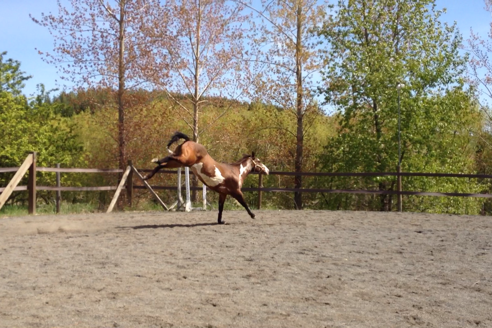 hw and covergirl 017.PNG