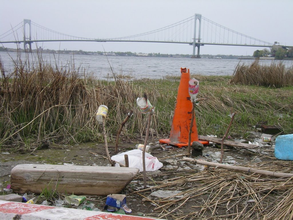 image2.jpeg