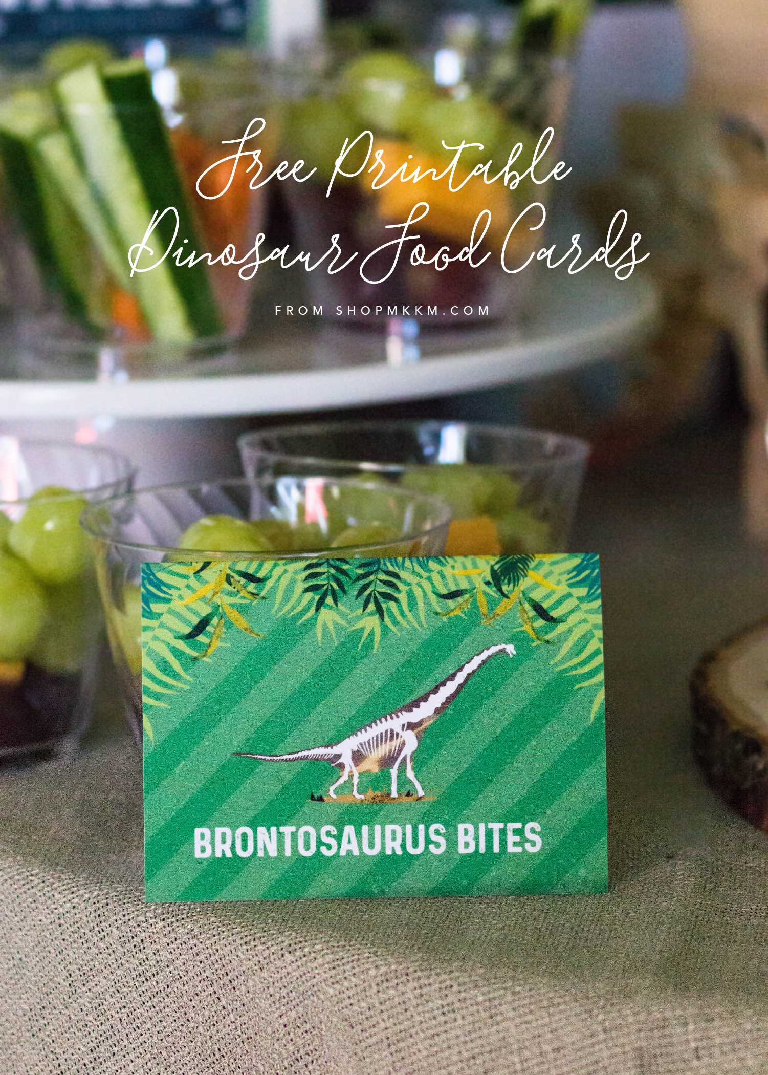 Dinosaur Dig Party Free Printable Food Cards Merry Grace Design Co 