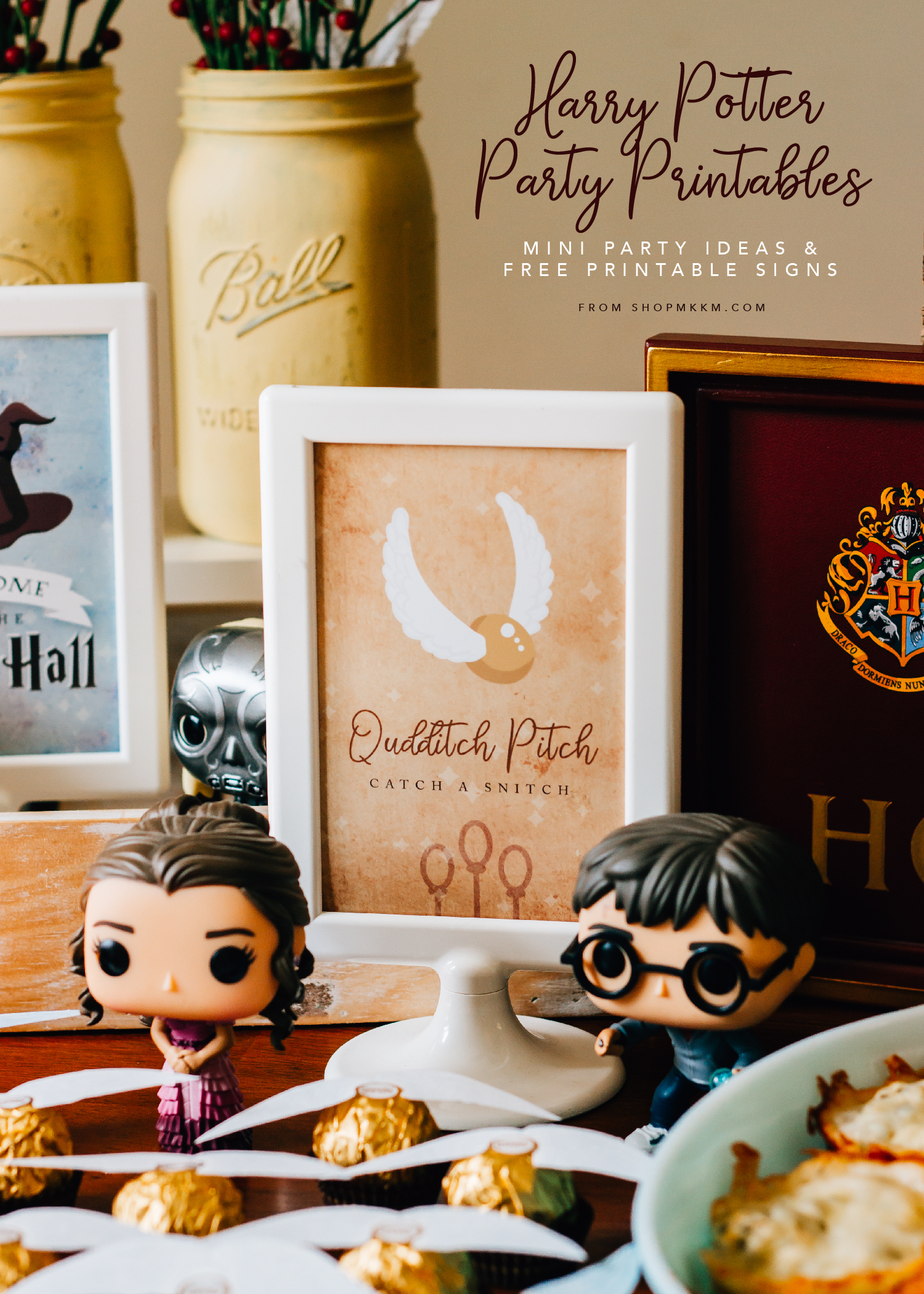 19 DIY Harry Potter Party Favors [FREE Printables]