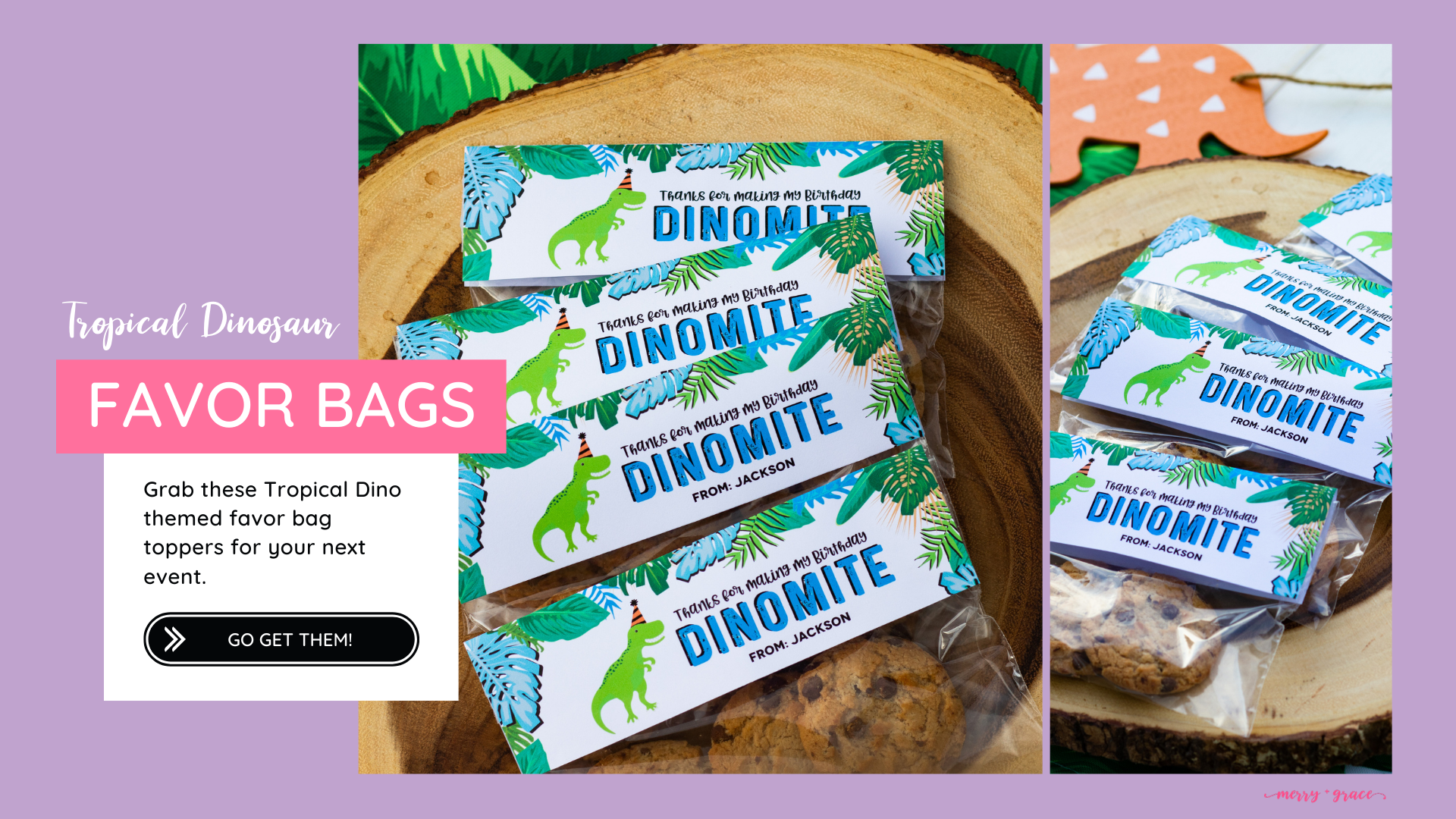 Tropical Dinosaur Favor Bag Toppers | Merry + Grace