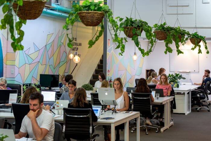 Located in Melbourne, the One Roof co-working space is dedicated to providing women in business with everything they need to succeed all under “one roof.”