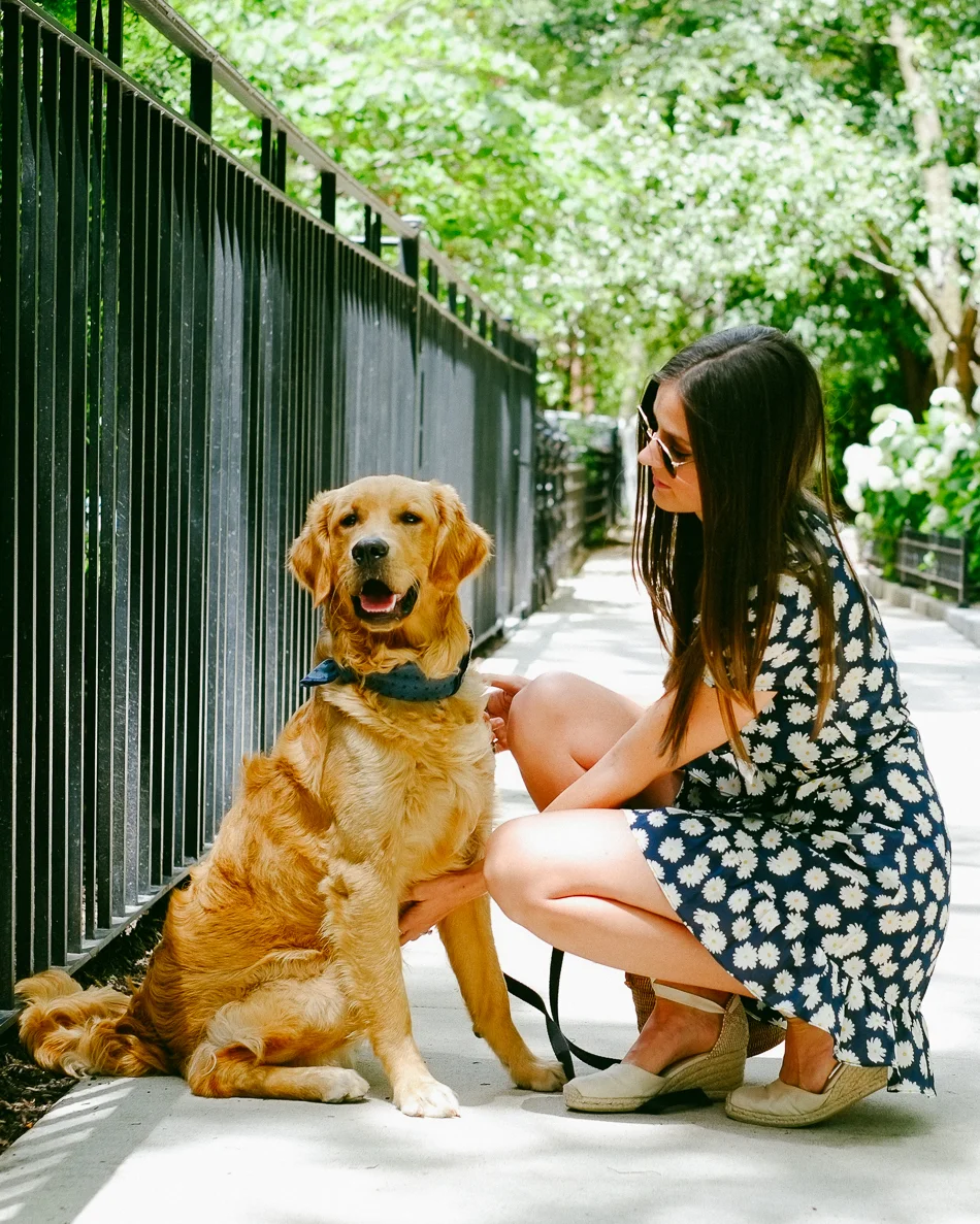 SUNDAYS The Indigo Dog Bandana
