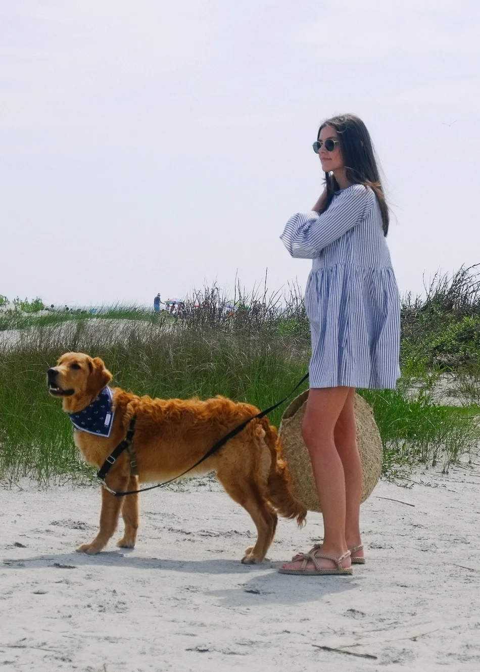 Dog_Bandana_Navy_Anchor_Print_SUNDAYS-7808.jpg