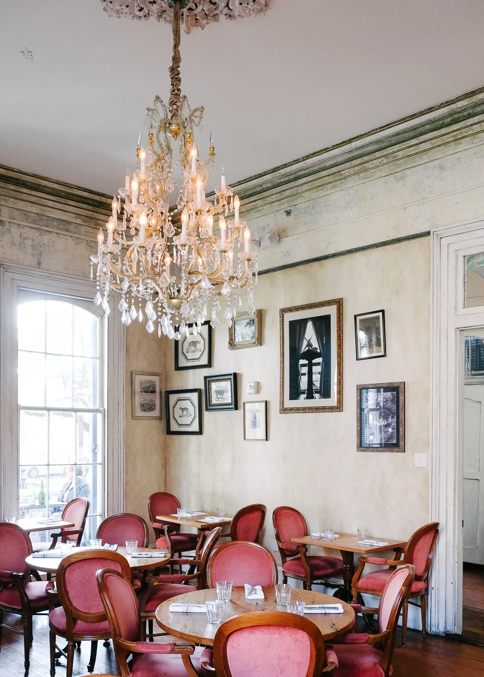 Dog_Friendly_Guide_new_orleans_Cavan_restaurant_New_Orleans-5598.jpg