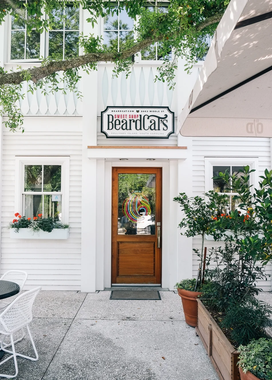 SUNDAYS_Dog_Friendly_Travel_Guide_Charleston-7715.jpg