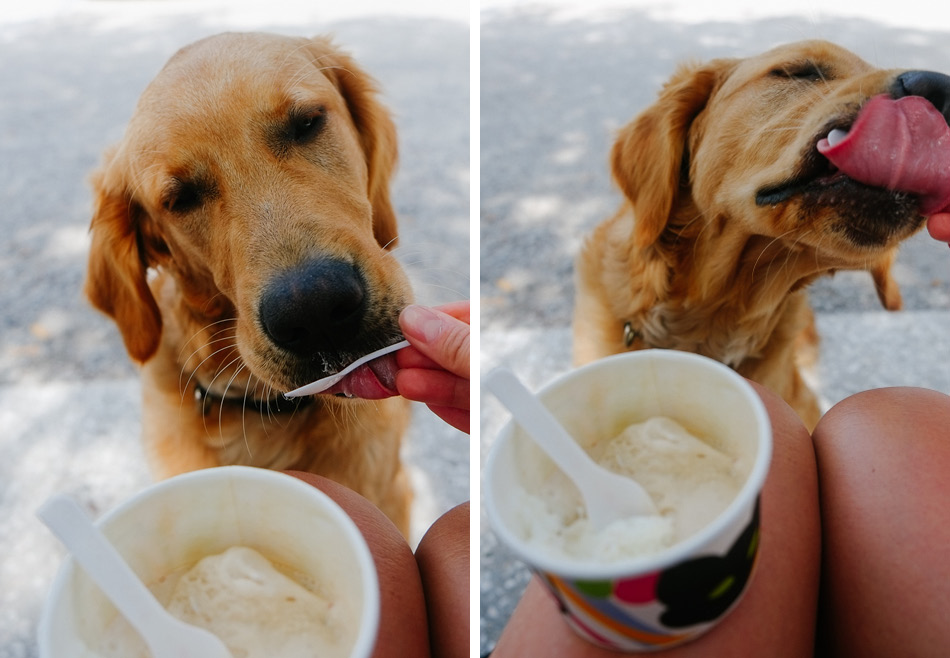 SUNDAYS_Dog_Friendly_Travel_Guide_Charleston_Louis Eating Ice Cream Duo.jpg