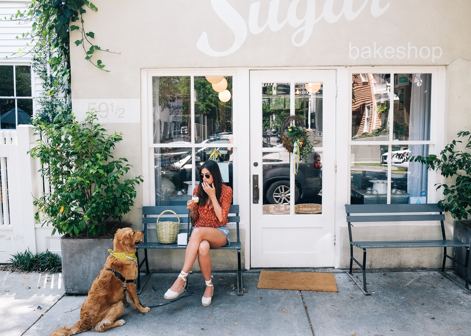 SUNDAYS_Dog_Friendly_Travel_Guide_Charleston-7894.jpg