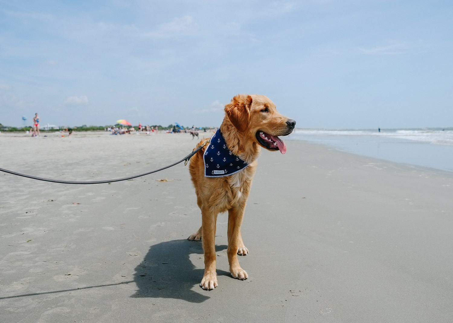 Shop The Anchor Bandana