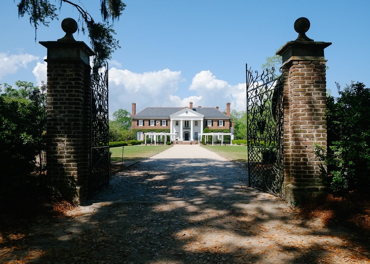 SUNDAYS_Dog_Friendly_Travel_Guide_Charleston-7956.jpg