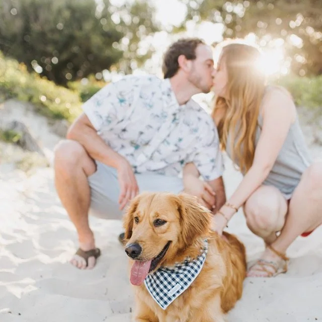 samantha_blue_gingham_bandana.jpg