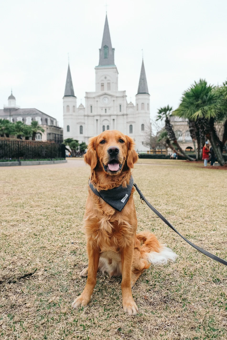 New_Orleans-5357.jpg