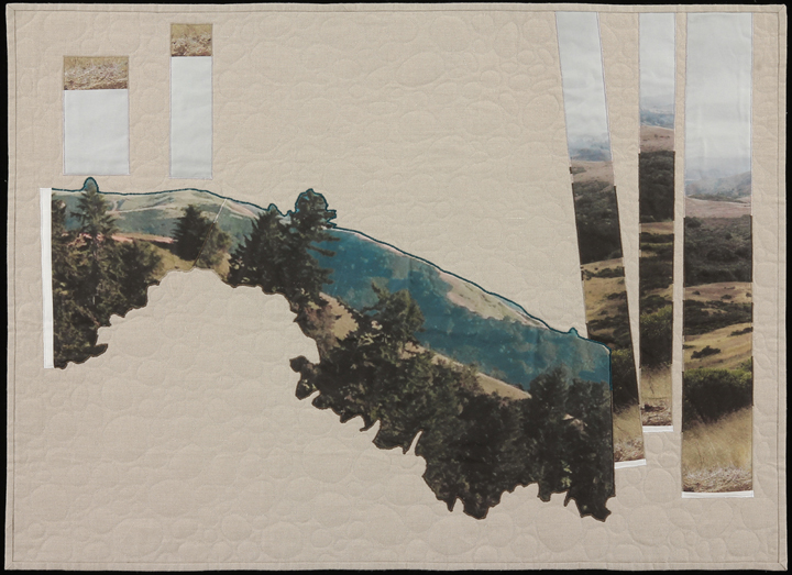 Reimagining Worlds II , 2014 33" x45" Quilt: linen canvas, kona cotton, batting, thread, muslin
