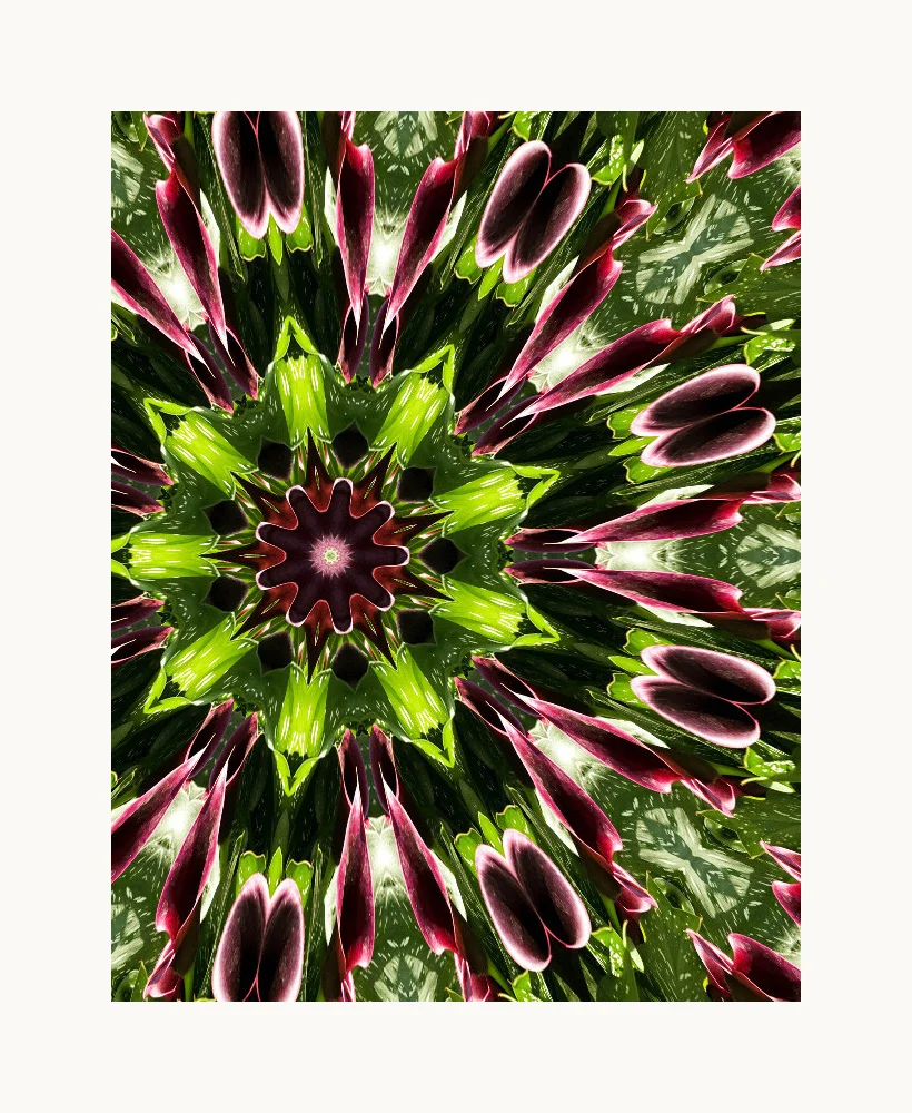 Cantor_Kaleidoscope_wframe.jpg
