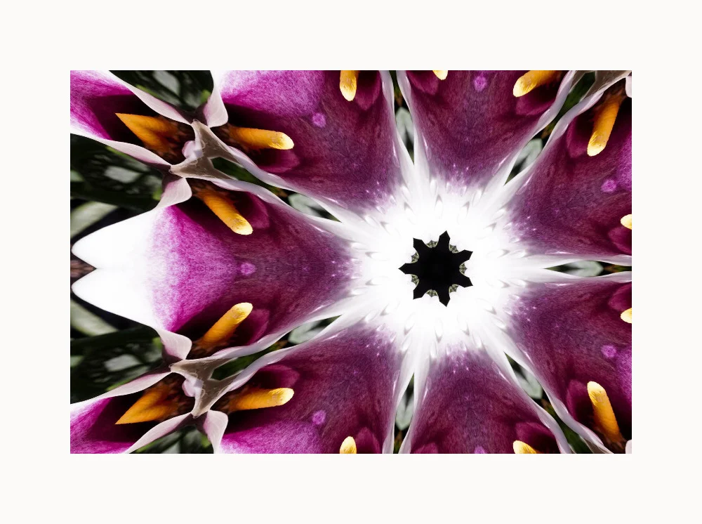 PIcasso_Kaleidoscope_wframe.jpg