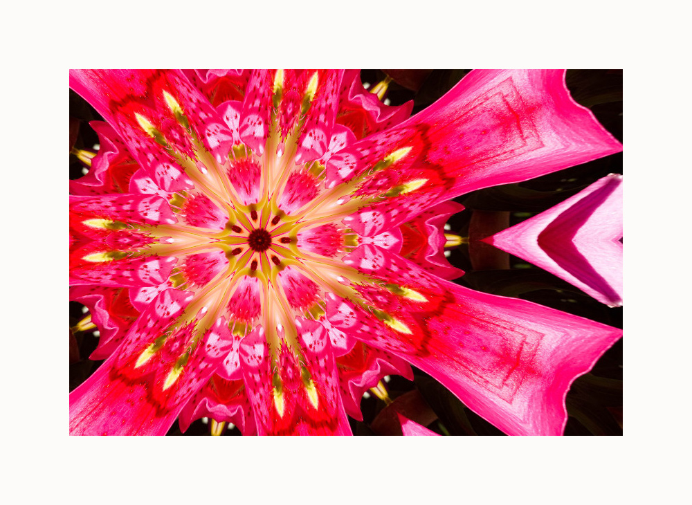 Portland_Kaleidoscope_wframe.jpg