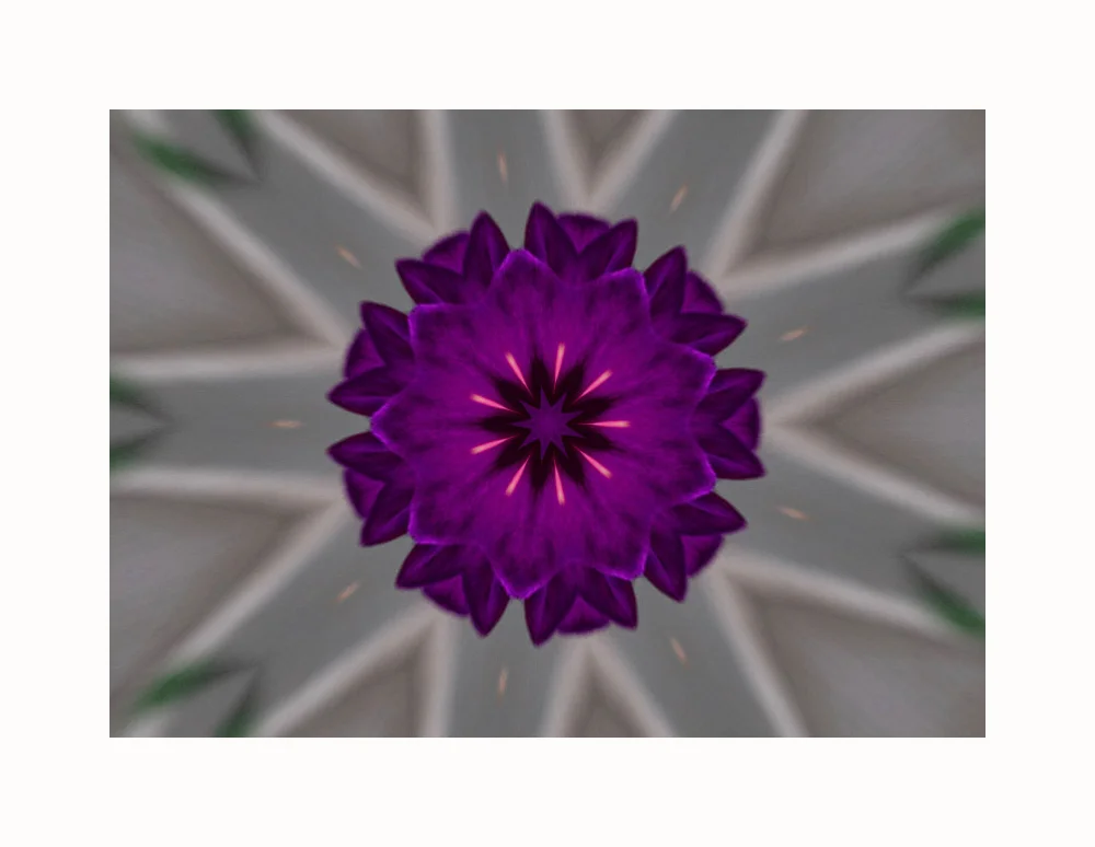 Fuschia_kaleidoscope_w_border.jpg