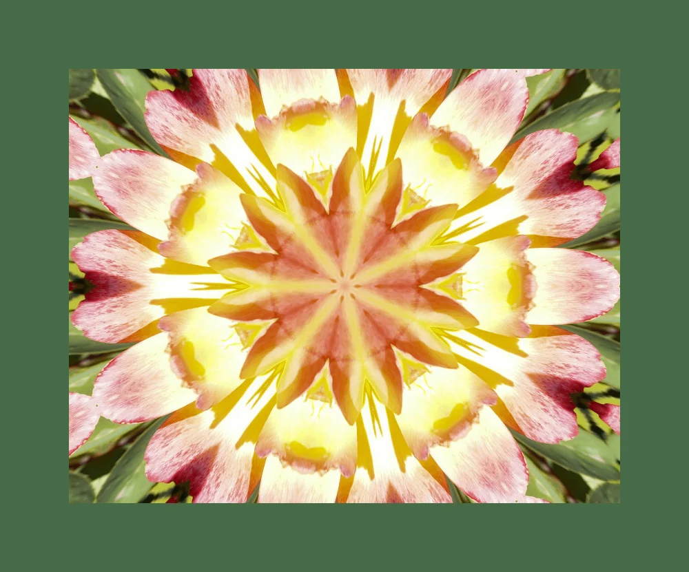 Pink_and_Yellow_Kaleidoscope_wframe.jpg