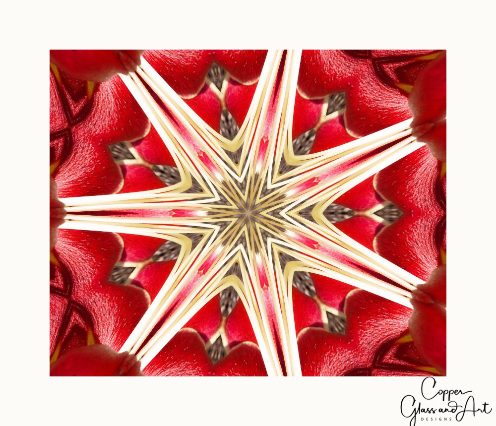 African Lady Kaleidoscope
