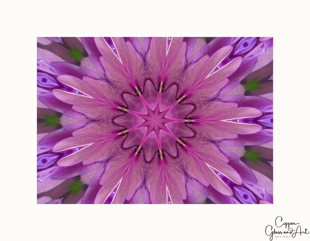 Hydrangea Kaleidoscope
