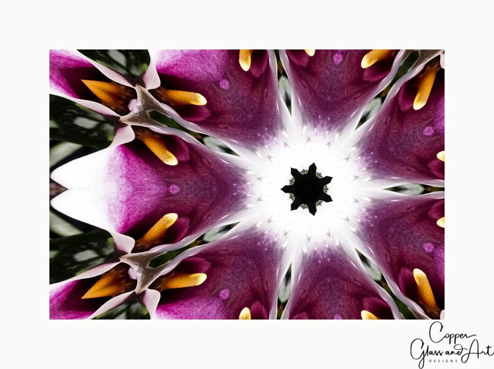 Picasso Kaleidoscope