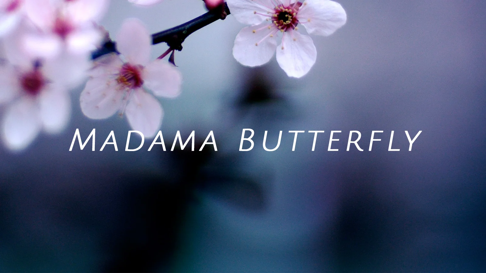 Berkshire Opera Festival