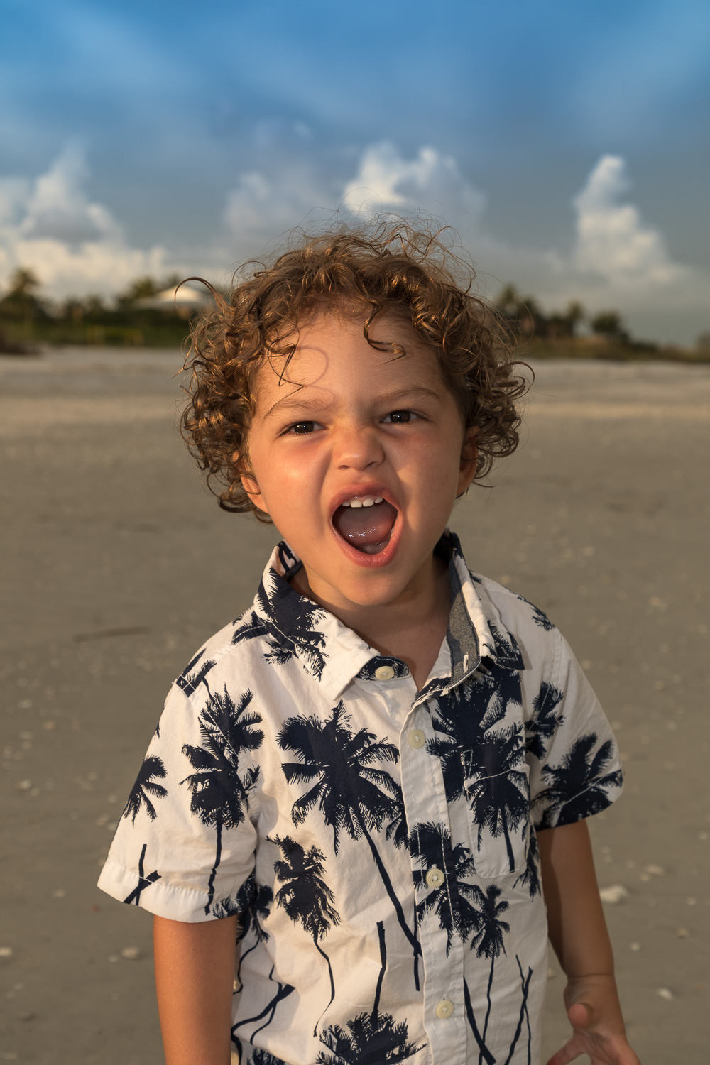 Steve McCarthy Photography: Premier SWFL Wedding, Portrait and Event Photographer serving all of SWFL , from Tampa to Naples, Fort Myers Beach, Pine Island, Sanibel, Captiva and Marco Island and over to Miami and up to Delray Beach, including: Tamp