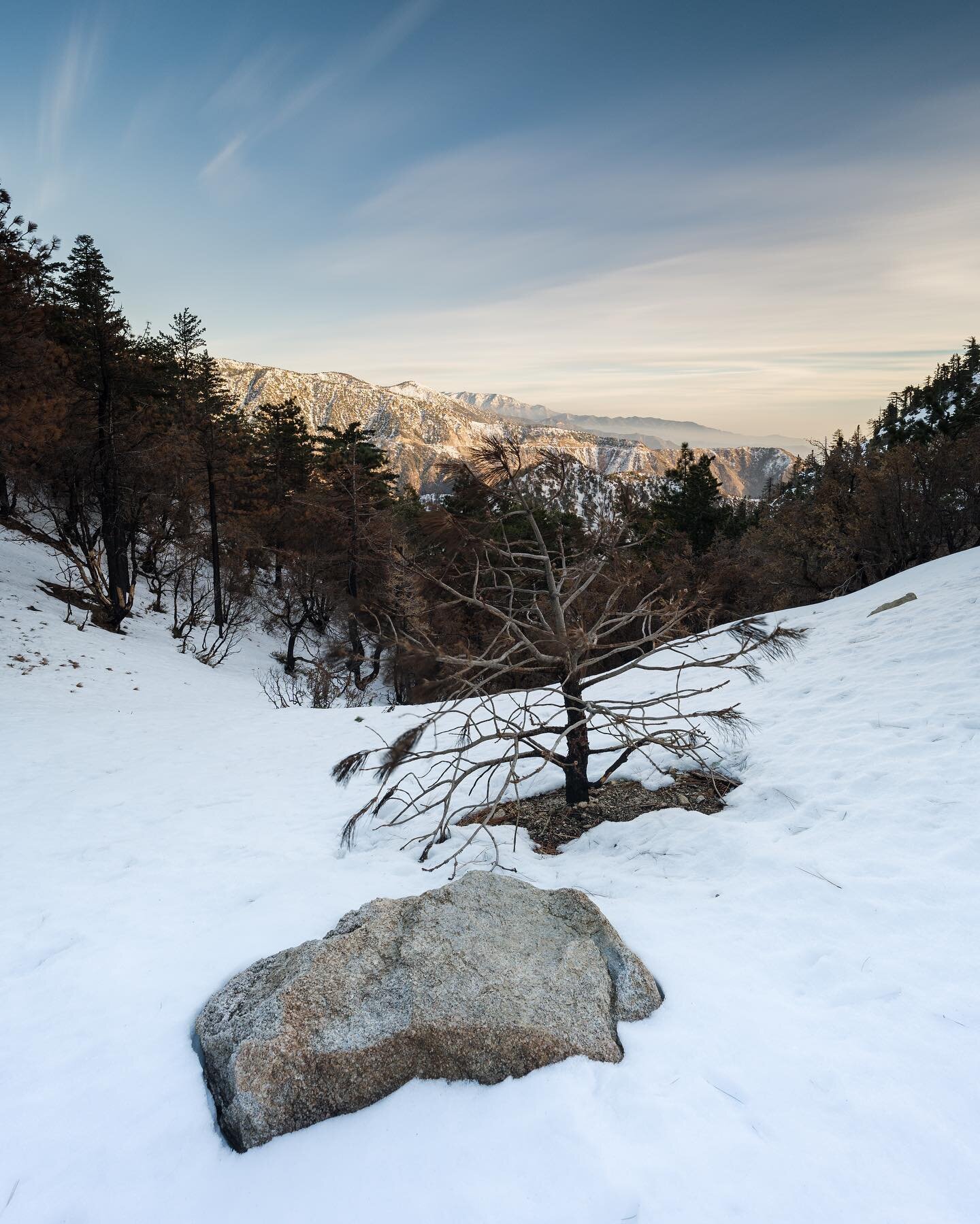Compositional faux pas pt. 1

Winter of 2020 in the Angeles National Forest. 
.
.
.
.
.
#angelesnationalforest #winterwonderland #californiamountains #nisiglobal #nisiopticsusa #landscapephotography #landscapephotographer #lawinter #treesofinstagram 