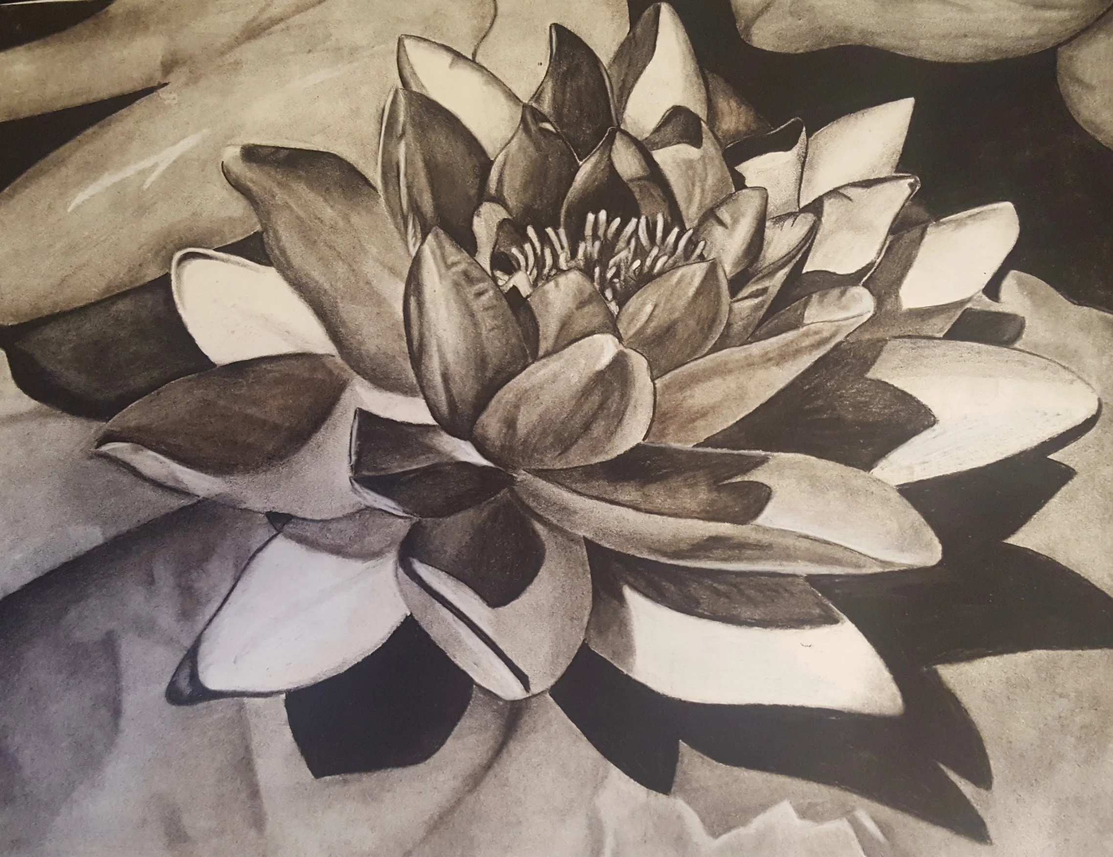 Friday November 4th 5-7pm: Our Featured Artist is Karley Goddeau-Stefaniak. Karley is a 21 year old artist originally from Plattsburgh, NY. She attended Clinton Community College where her work was featured. Karley is very passionate about art. . Her work draws mainly upon concepts associated with realism utilizing a wide range of platforms including charcoal, pencil, oil pastel, oil paint and photography. The fine details, colors, and shading within her pieces evoke a sense of presence through her close attention to human perception.