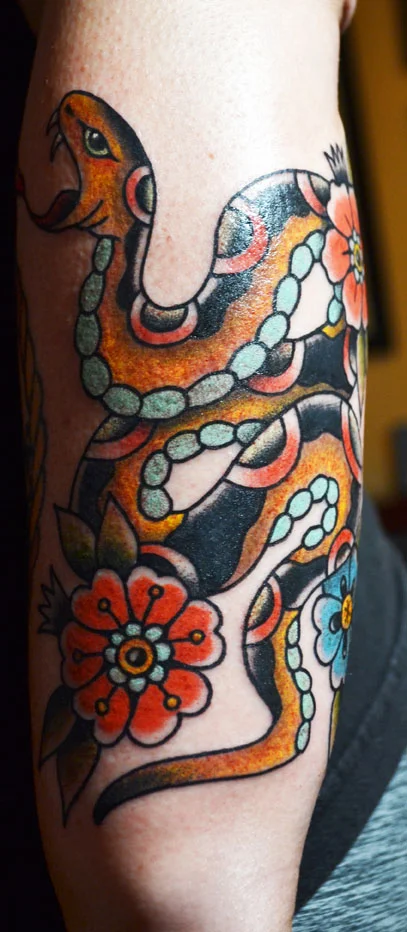 snakecoil1.jpg