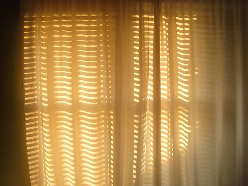 Bedroom Window - Nashville, TN