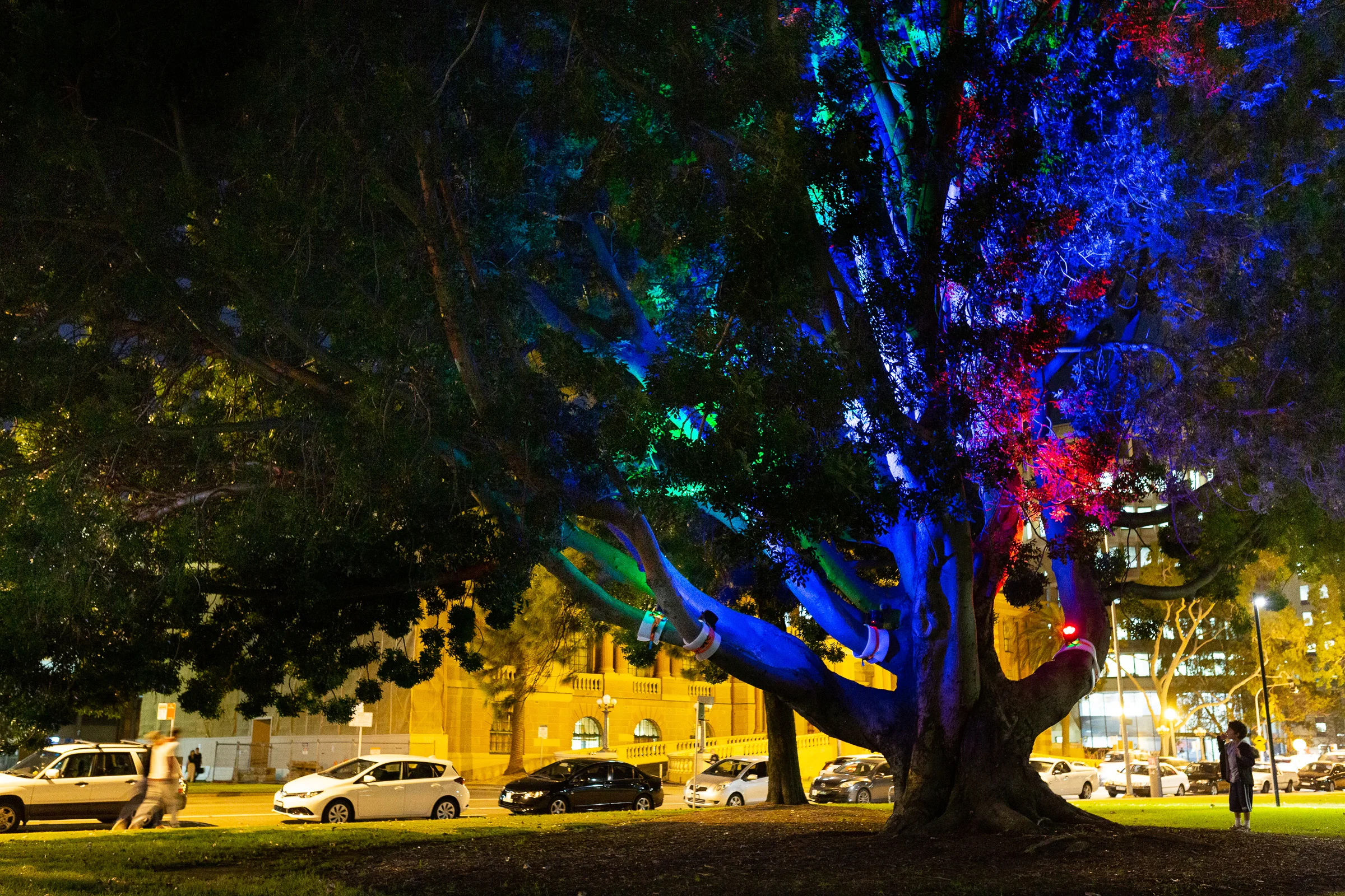 Images: Edwina Richards Photography